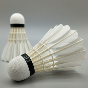 Feather Shuttlecock Teal Duck Feather All Round Feather Amateurish Match Quality Durable Perfect (Variant 2)